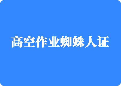 黄色片我要操我大騷逼高空作业蜘蛛人证